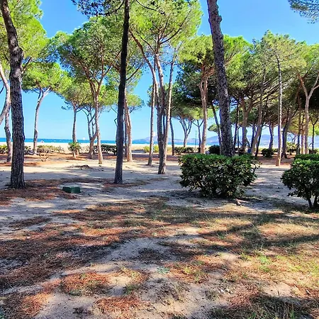 Apartment T2 Renove - 4 Pers - 50m De La - Acces Jardin - Ideal Familles/amigos - Fr-1-309-450 Argeles-sur-Mer
